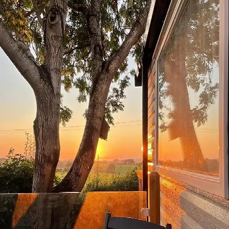 District Solway View 16 The Beeches Gilcrux